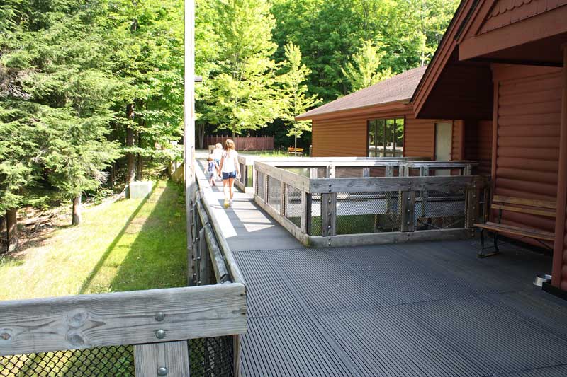 old growth trailhead